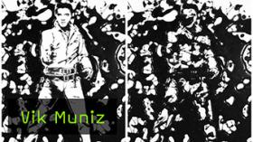  Interview mit Vik Muniz