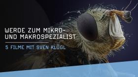 Mikro und Makro