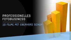 Die vier Säulen der Professionalität