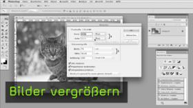 bilder, vergrößern