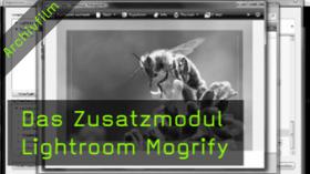 Lightroom, Plugin, Zusatzmodul, Rahmen, Wasserzeichen