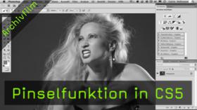 Calvin Hollywood CS5 Pinsel Calvin Hollywood CS5 Pinsel