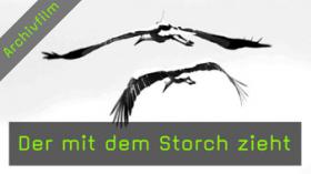 storch-naturfotografie storch-naturfotografie