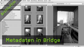 Metadaten in Bridge Metadaten in Bridge