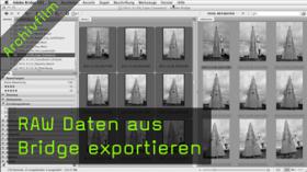 RAW Daten aus Bridge exportieren