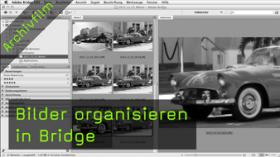 Bilder organisieren in Bridge