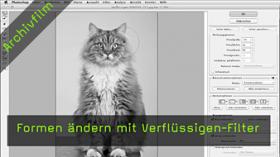 Verflüssigen-Filter, Verzerren