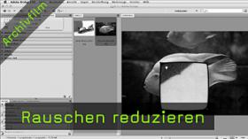 Bildrauschen entfernen