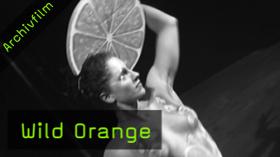 Fotoevents, Wild Orange, Kay Huett, Model Sharings, Workshops, Fotografentreff