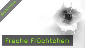 Tabletop, Fotografie, Erdbeere, Milch, Softbox, Fotoworkshop