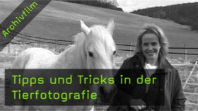 ruth-marcus-tierfotografie-naturfotografie