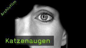 katzenaugen portraitfotografie katzenaugen portraitfotografie