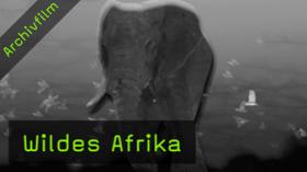 naturfotografie-wildes-afrika-fotoreise