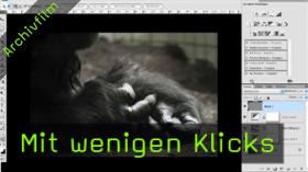 Calvin Hollywood Photoshop Bildoptimierung