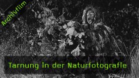 Tarnung in der Naturfotografie