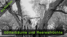 Christian von Alvensleben Fotografie Fotograf Interview
