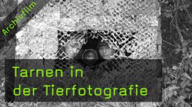 Tarnen, Ansitzfotografie, Tarnzelt, Tarnanzug, Tierfotografie