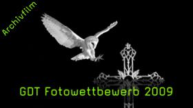 GDT, GDT-Preis, Naturfotografie GDT, GDT-Preis, Naturfotografie