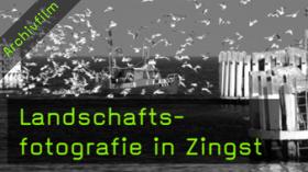 landschaftsfotografie in zingst