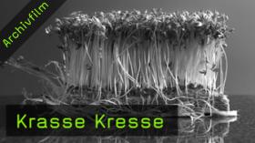 395-table1-teaser-G.jpg