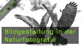 Naturfotografie Gerhard Zimmert Bildgestaltung