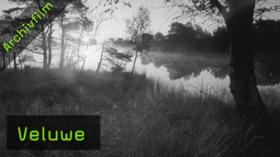 veluwe-naturfotografie veluwe-naturfotografie