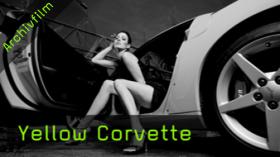 Martin Krolop Workshop Tutorial Yellow Corvette