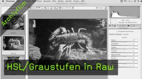 HSL, Graustufen, Raw HSL, Graustufen, Raw