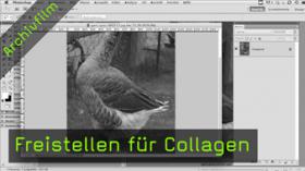 freistellen, collagen