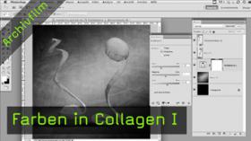 Farben in Collagen anpassen