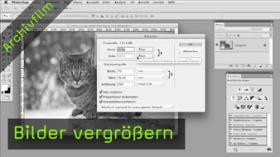 bilder, vergrößern