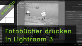 Video Benutzerdefinierte Collage In Lightroom Erstellen