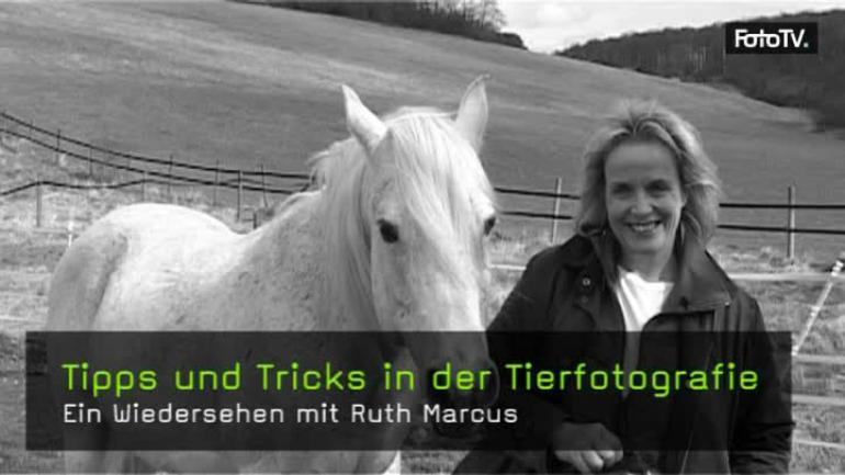 ruth-marcus-tierfotografie-naturfotografie