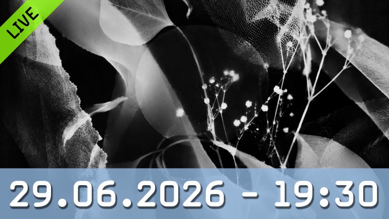 Experimentelle Dunkelkammerarbeit: Fotogramme