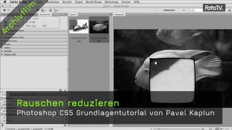 Video Lehrgang Zum Reduzieren Von Bildrauschen In Photoshop Cs 5