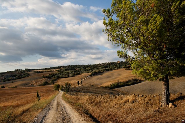 img00029.jpg