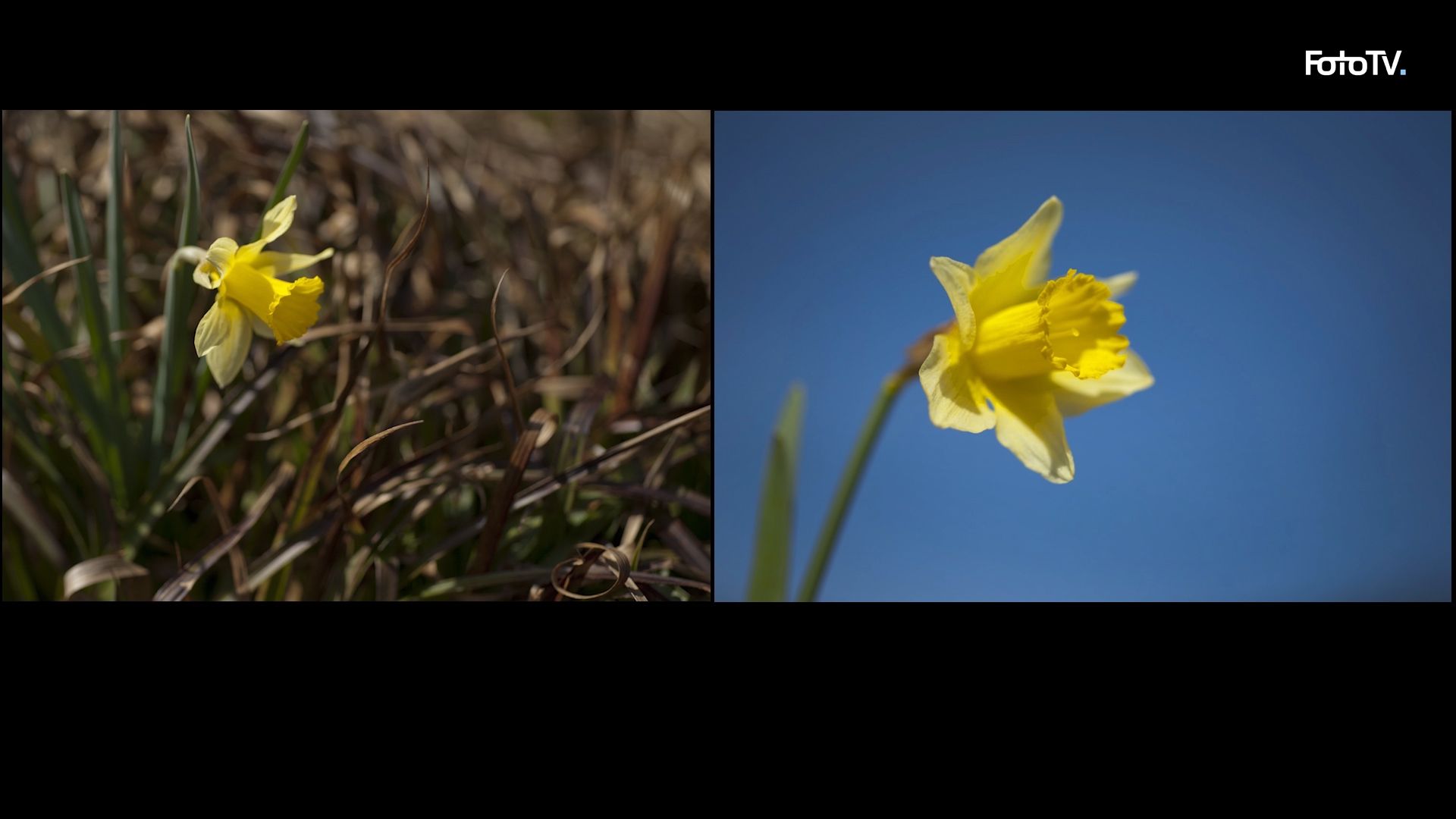 Bildgestaltung in der Fotografie